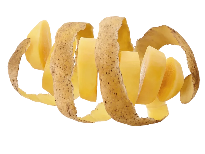 Papa